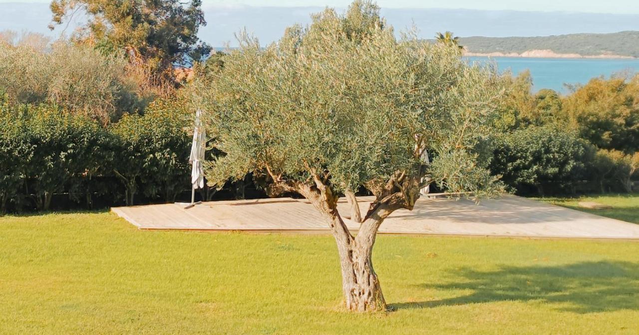 Maina Apartment Cargese