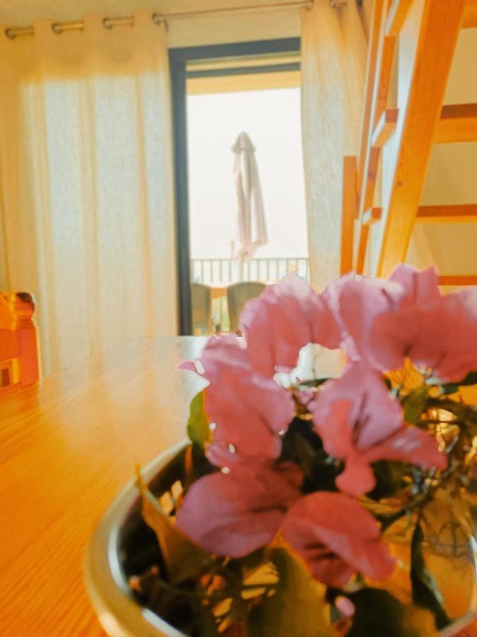 Apartment Maina