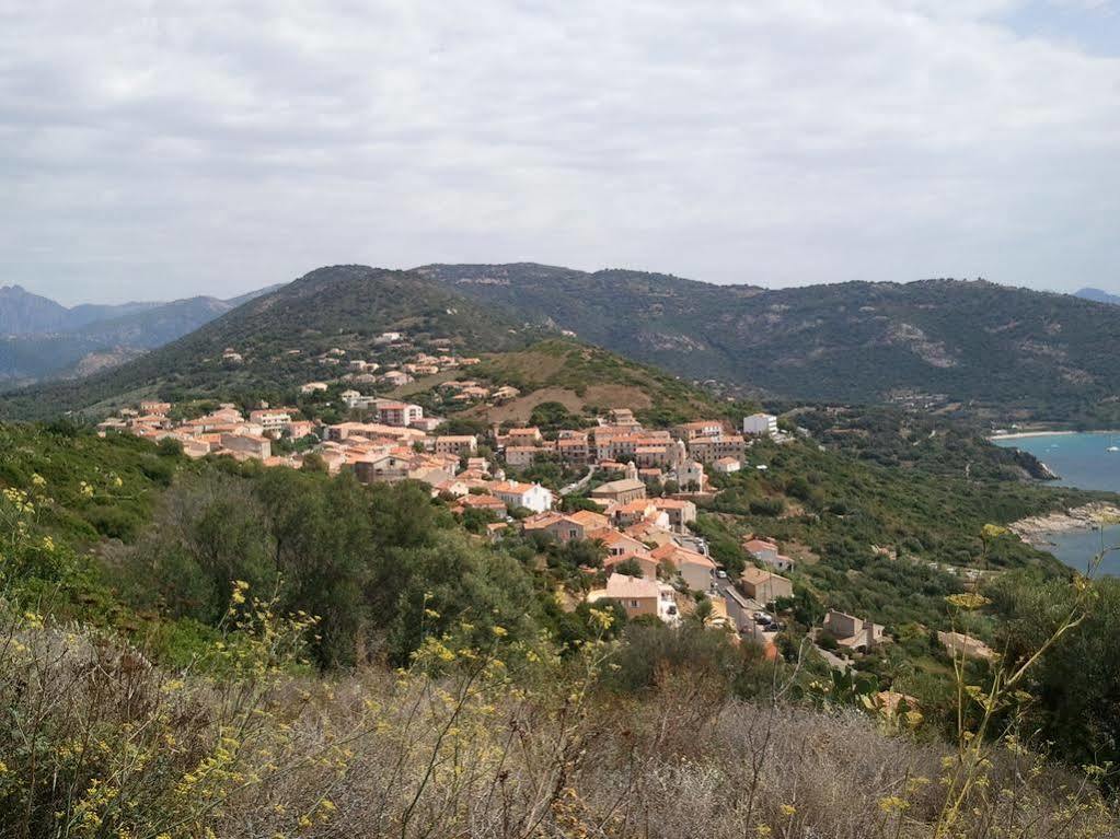 Maina * Cargese